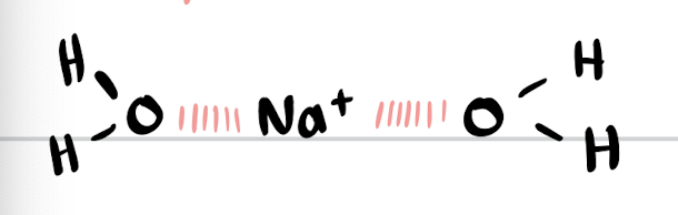 <p>electrostatic attraction between an ion and polar molecule </p><p>strongest IMF</p>