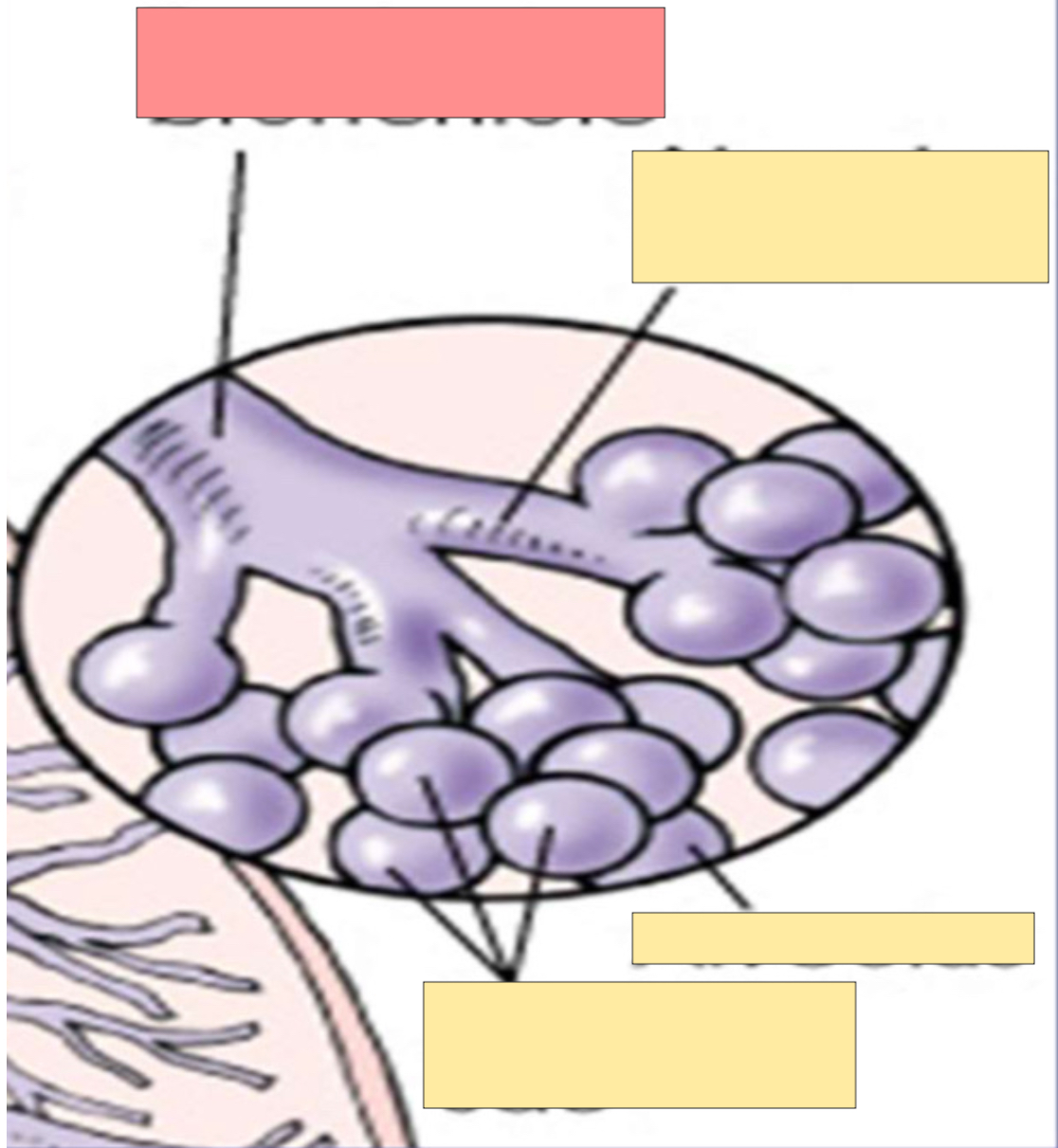 <p>What is this? </p>