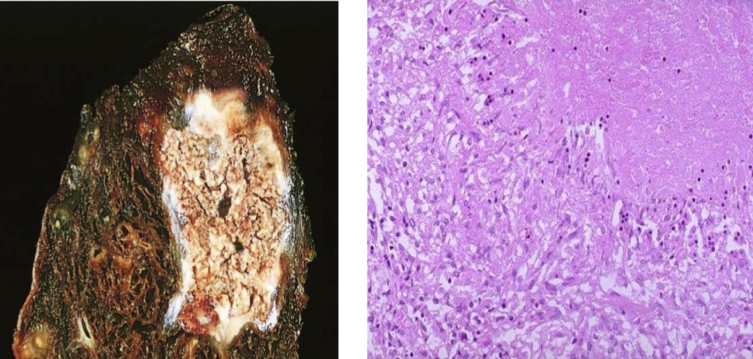 <p>A- identify</p><p>B- Describe</p>