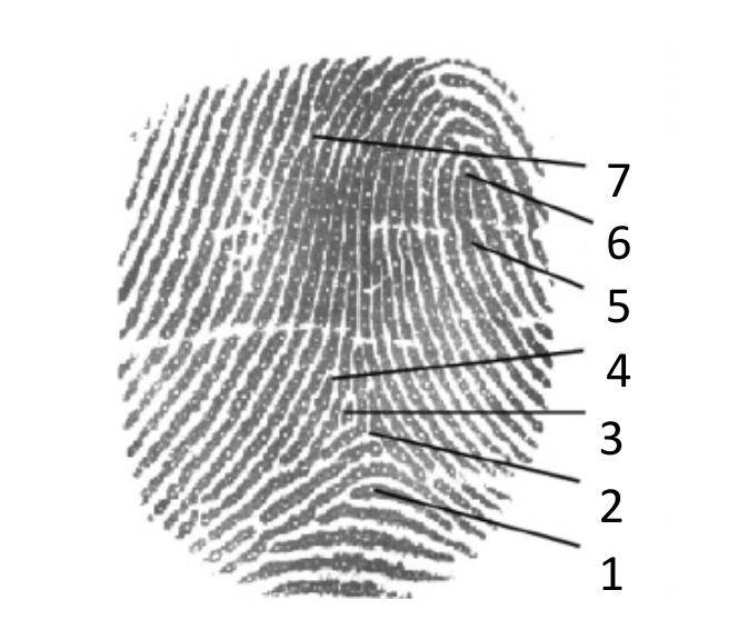 <p>3?</p>