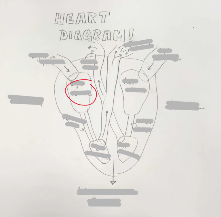 <p>What Structure is this?</p>