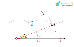 <p>A ray that divides an angle into two congruent angles</p>
