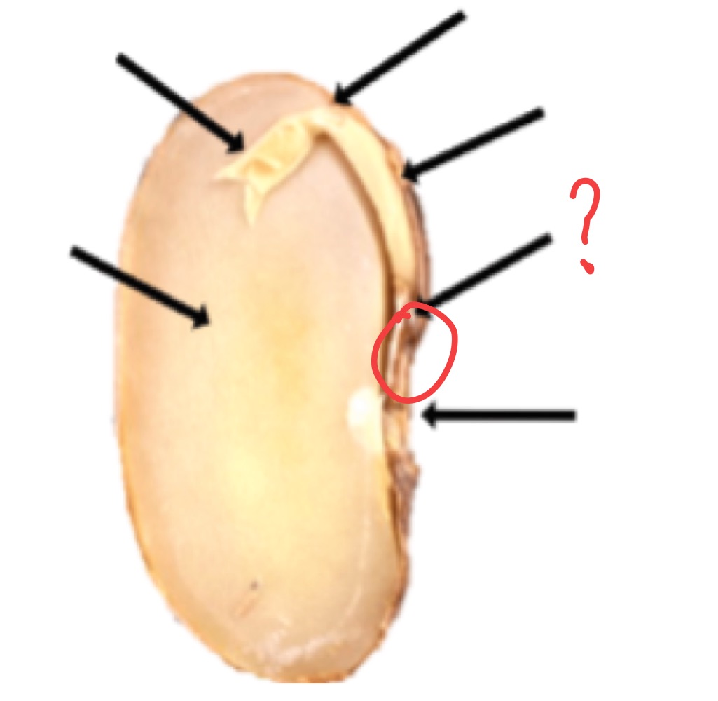 <p>What is this?</p>