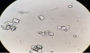 <p>What is this?</p>