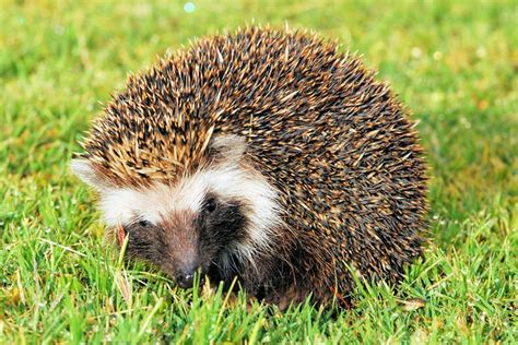 <p>Vic Falls, Etosha NP, Spitzkoppe, Swakopmund,</p>