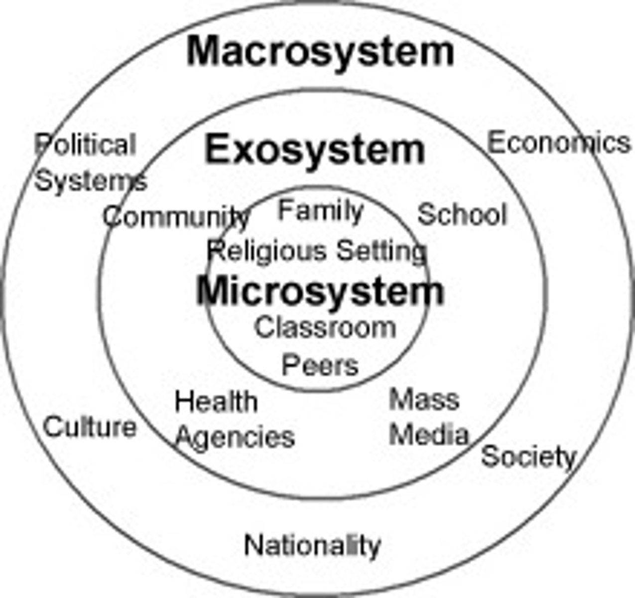 <p>an individual's immediate environment which includes the people the person interacts with daily, having the most direct, immediate impact on the individual</p>