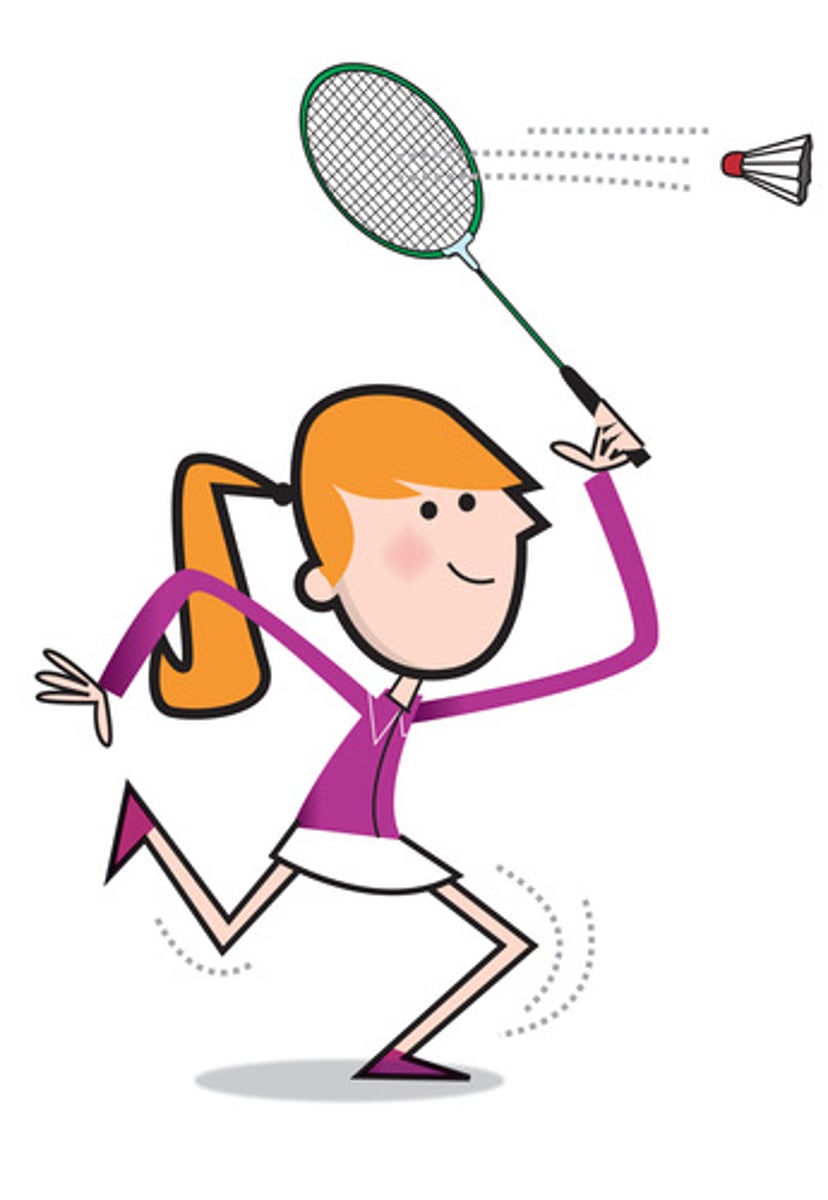 <p>badminton</p>