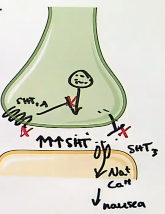<p><span><span>Selectively inhibits presynaptic reuptake of serotonin and acts as a </span><u><span>partial agonist/antagonist </span></u><span>at presynaptic 5HT</span><sub><span>1A</span></sub><span> autoreceptors</span></span></p><p></p>