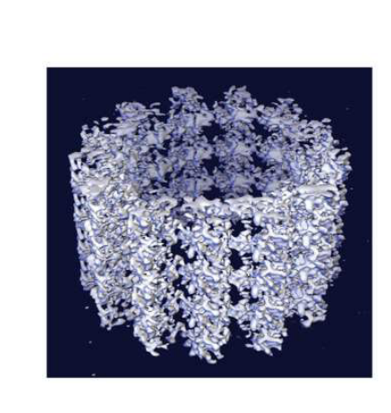 <p>Found inside the cytoskeleton. They help provide structural support.</p>