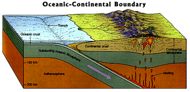 <p>Read this and write/click “ok” hehe:</p><p>Layers that are less dense, such as the crust, float on layers that are denser, such as the mantle. Both oceanic crust and continental crust are less dense than the mantle, but oceanic crust is denser than continental crust. This is partly why the continents are at a higher elevation than the ocean floor.</p>