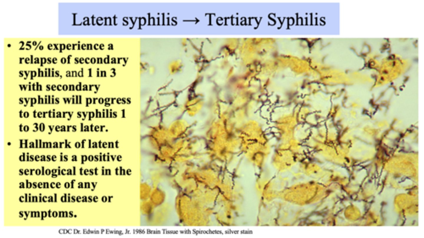 <p>positive serological test in absence of any clinical disease/symptoms</p>