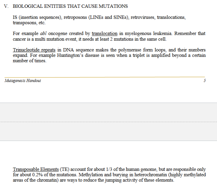 <p>V. BIOLOGICAL ENTITIES THAT CAUSE MUTATIONS</p><p>IS (insertion sequences), retroposons (LINEs and SINEs), retroviruses, translocations, transposons, etc.</p><p><strong>1. LINEs — Long Interspersed Nuclear Elements</strong> </p><p><strong>2. SINEs — Short Interspersed Nuclear Elements</strong></p><p>For example<em> abl</em> oncogene created by<strong> translocation</strong> in myelogenous leukemia. Remember that cancer is a multi mutation event, it needs at least 2 mutations in the same cell.</p><p><strong>Trinucleotide</strong> <strong>repeats</strong> in DNA sequence makes the polymerase form loops, and their numbers expand. For example Huntington’s disease is seen when a triplet is amplified beyond a certain number of times.</p><p><u>Transposable Elements (TE)</u> account for about 1/3 of the human genome, but are responsible only for about 0.2% of the mutations. Methylation and burying in heterochromatin (highly methylated areas of the chromatin) are ways to reduce the jumping activity of these elements.</p><p>A transposable element is:</p><p>A DNA sequence that can move from one location in the genome to another.</p><p>They are also called “jumping genes.”</p>