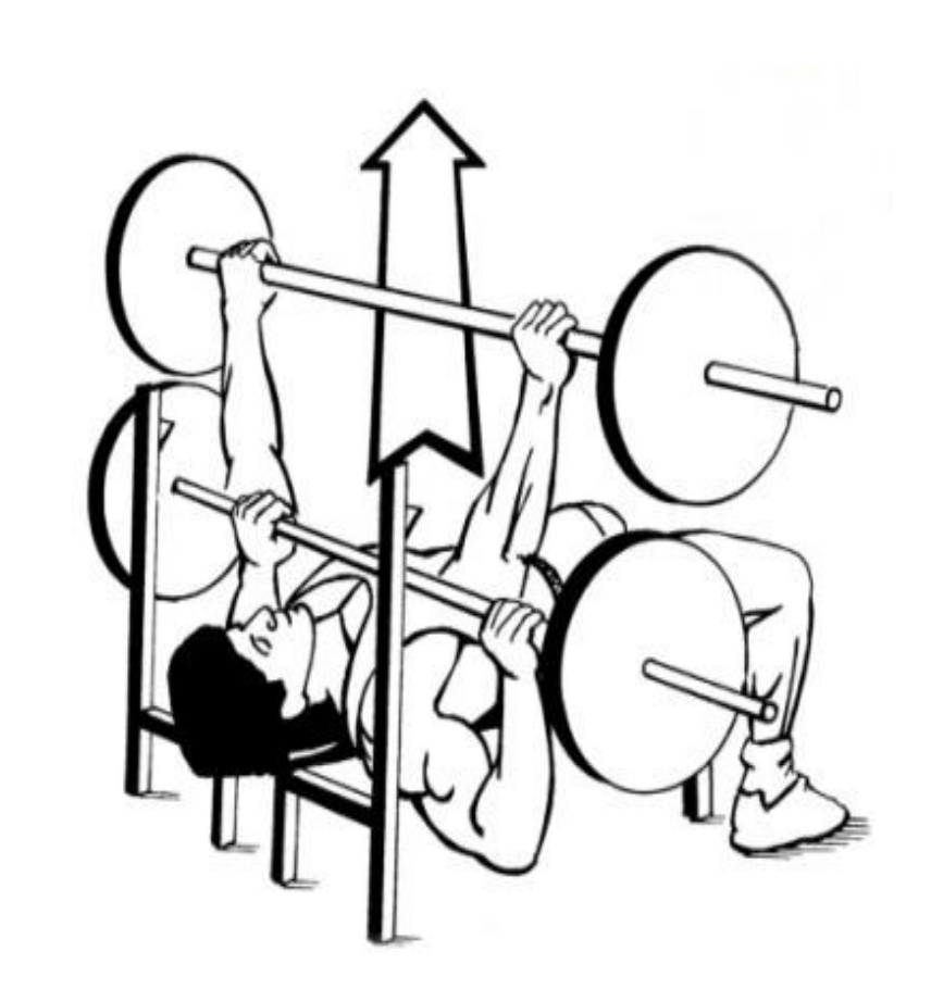 <p><strong>1. Males are evaluated using 80 lb barbell while women are evaluated using 35 lb barbell.</strong> </p><p>2. Participants are scored by the number of successfully completed reps performed consecutively without rest. </p><p><strong>3. Set a metronome to a cadence of 60 beats/minute. The repetition cadence should be 30 reps/min.</strong> (*go until can’t or cadence lost)</p><p>4. Based on gender and number of completed repetitions, fitness category can be determined by referring to Table 4.14 (ACSM Guidelines).</p>