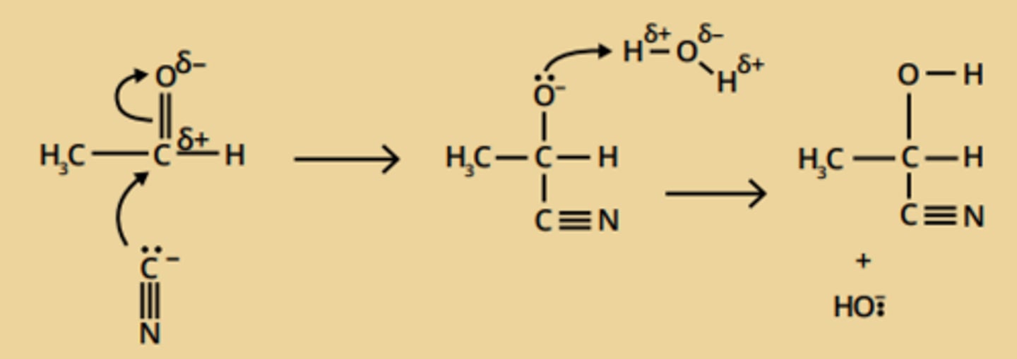<p>• nucleophilic addition</p><p>• reagents; potassium cyanide (KCN), dilute sulphuric acid (H₂SO₄)</p>