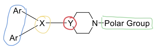 <ol><li><p>two aromatic rings —> steric bulk required for antagonist</p></li><li><p>X group —> defines class</p></li><li><p>Y group in ring —> defines ring structure</p></li><li><p>basic amine —> ionized so molecule can bind</p></li><li><p>polar group —> increases H1 receptor selectivity</p></li></ol><p>(X and Y directly connected)</p>
