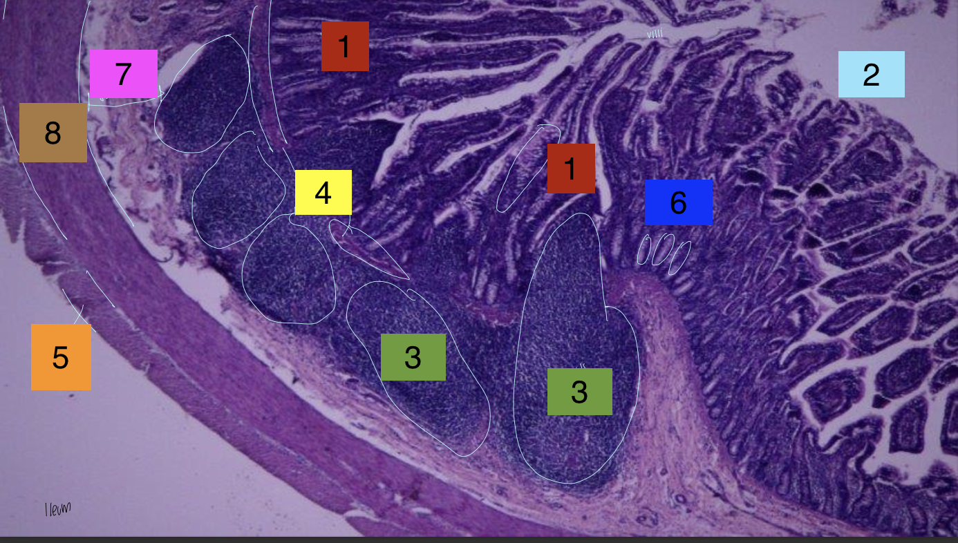 <p>what is 6?</p>