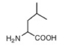 <p>Leucine (L)</p>