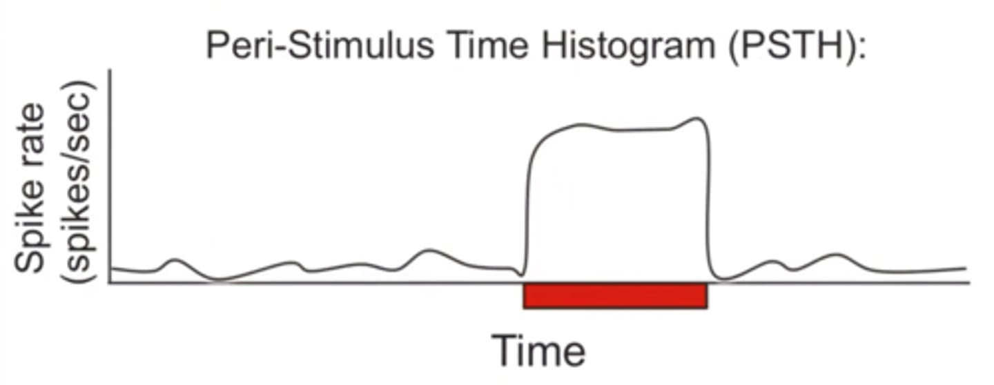 <p>Shows the average spike rate of the trials in spike/second of a neuron to determine what stimulus causes repeated firing.</p>