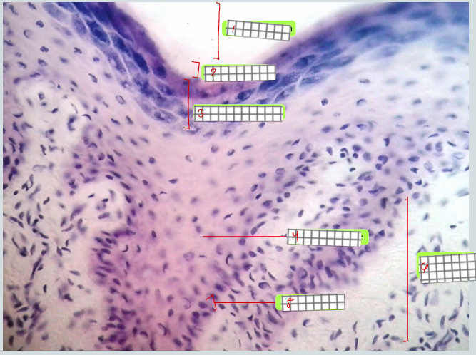 <p>specimen<br>label</p>