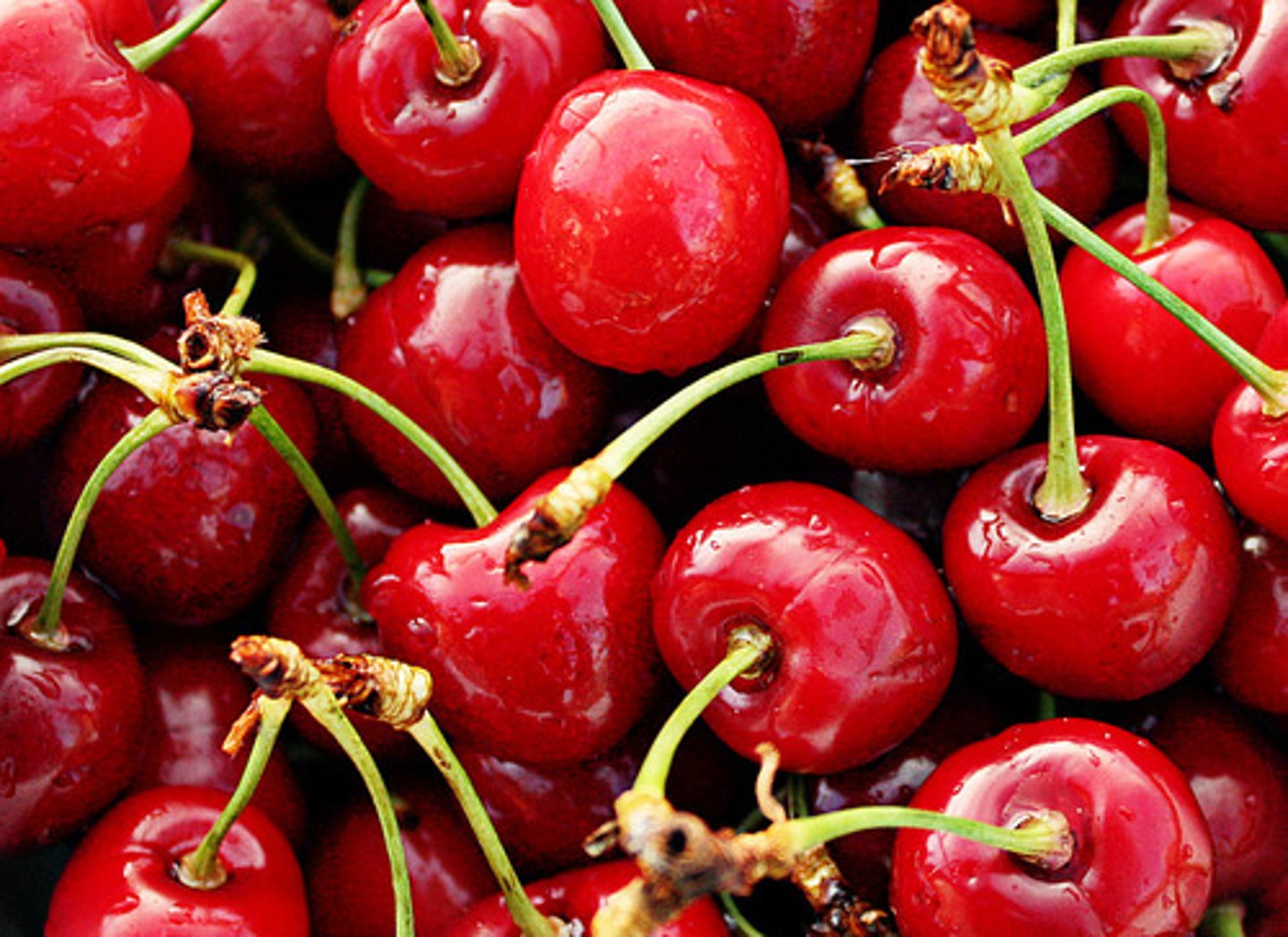 <p>cherries</p>