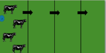 <p>What grazing system is this ?</p>