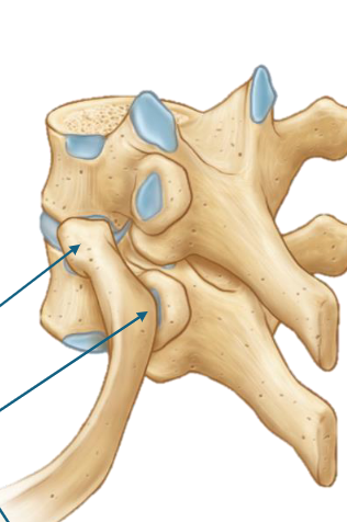 <p>top to bottom </p>