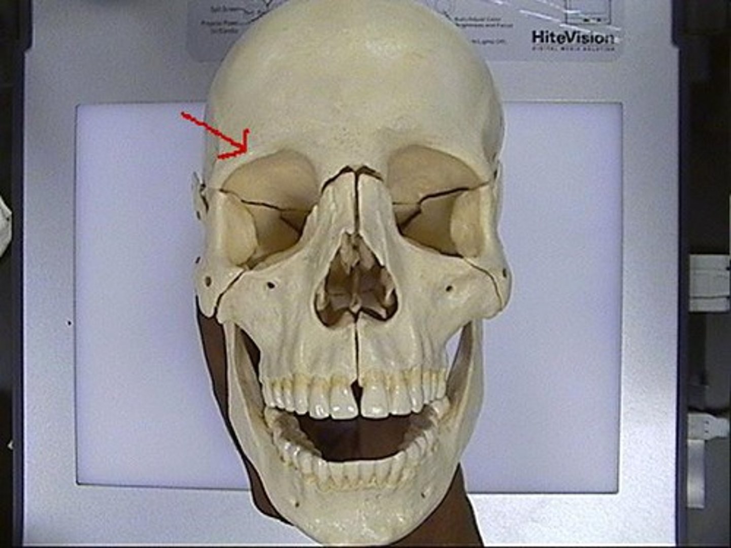 <p>name the structure</p>