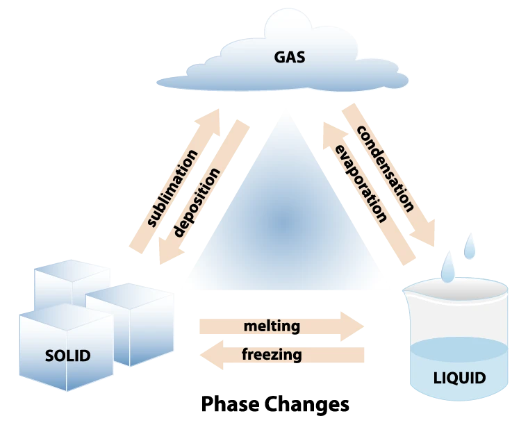 <ul><li><p><strong>Fusion (Melting)</strong>: Solid to Liquid.</p></li><li><p><strong>Solidification (Freezing)</strong>: Liquid to Solid.</p></li><li><p><strong>Evaporation (Vaporization)</strong>: Liquid to Gas.</p></li><li><p><strong>Condensation</strong>: Gas to Liquid.</p></li><li><p><strong>Sublimation</strong>: Solid to Gas.</p></li></ul><p></p>