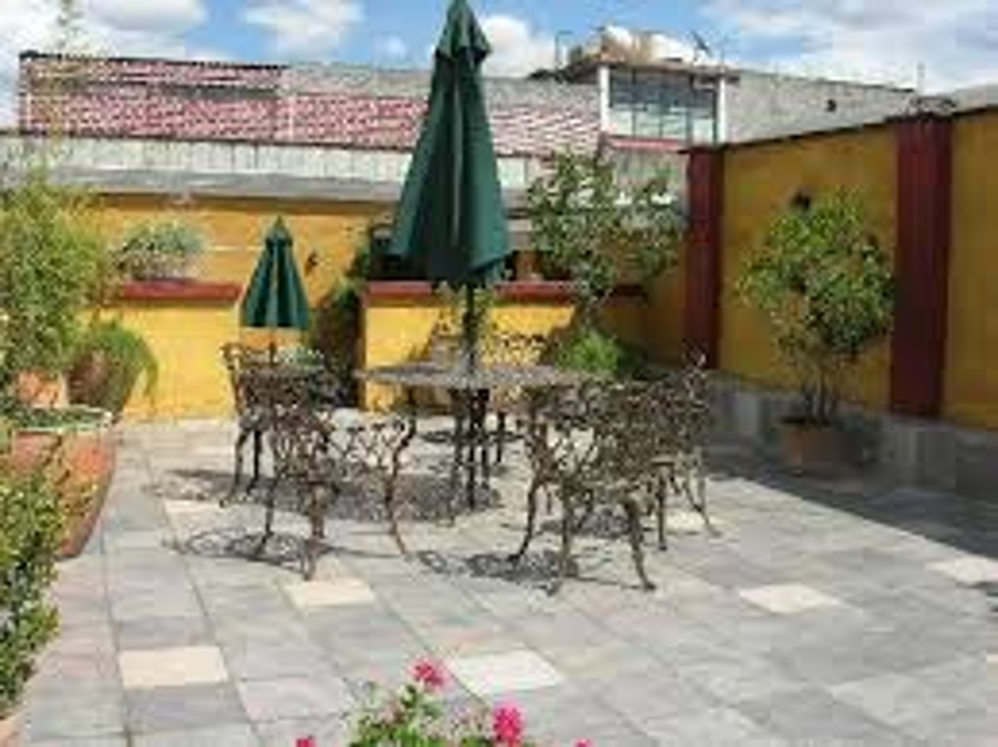 <p>the terrace or patio</p>