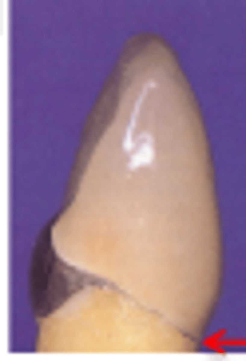 <p>Metal butt joint design</p>
