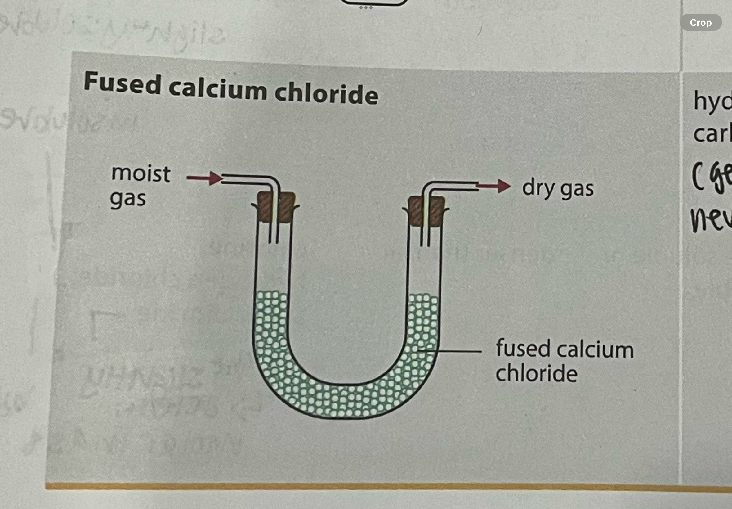 <ul><li><p>must be freshly heated before use</p></li><li><p>cannot be used to dry gases that react with calcium chloride (eg ammonia)</p></li><li><p>hydrogen, nitrogen, carbon dioxide (generally for neutral gases)</p></li></ul>