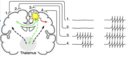 <p>What does this show?</p>