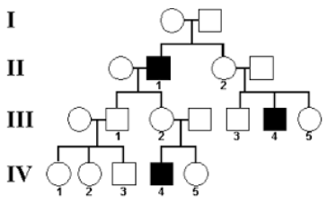 <p>Based on the family pedigree above where shaded represents individuals affected by a disorder, one can conclude that the disorder is most likely: </p><p>A. Sex-linked dominant</p><p>B. Sex-linked recessive</p><p>C. Autosomal dominant</p><p>D. Autosomal recessive</p>