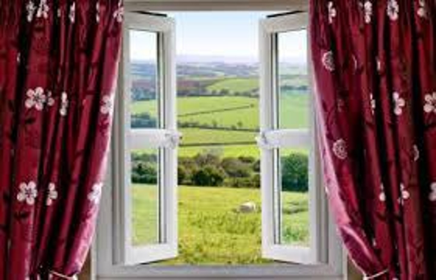 <p>window</p>