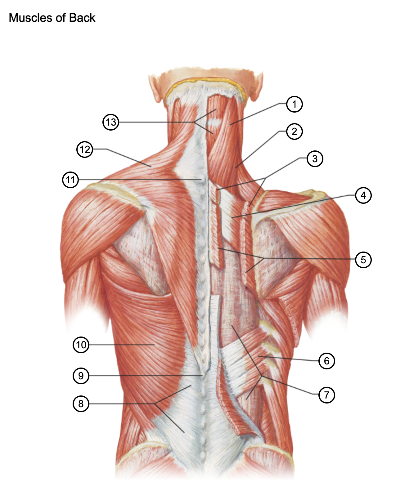 <p>1</p>