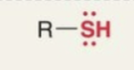 <p>/What functional group is this?</p>