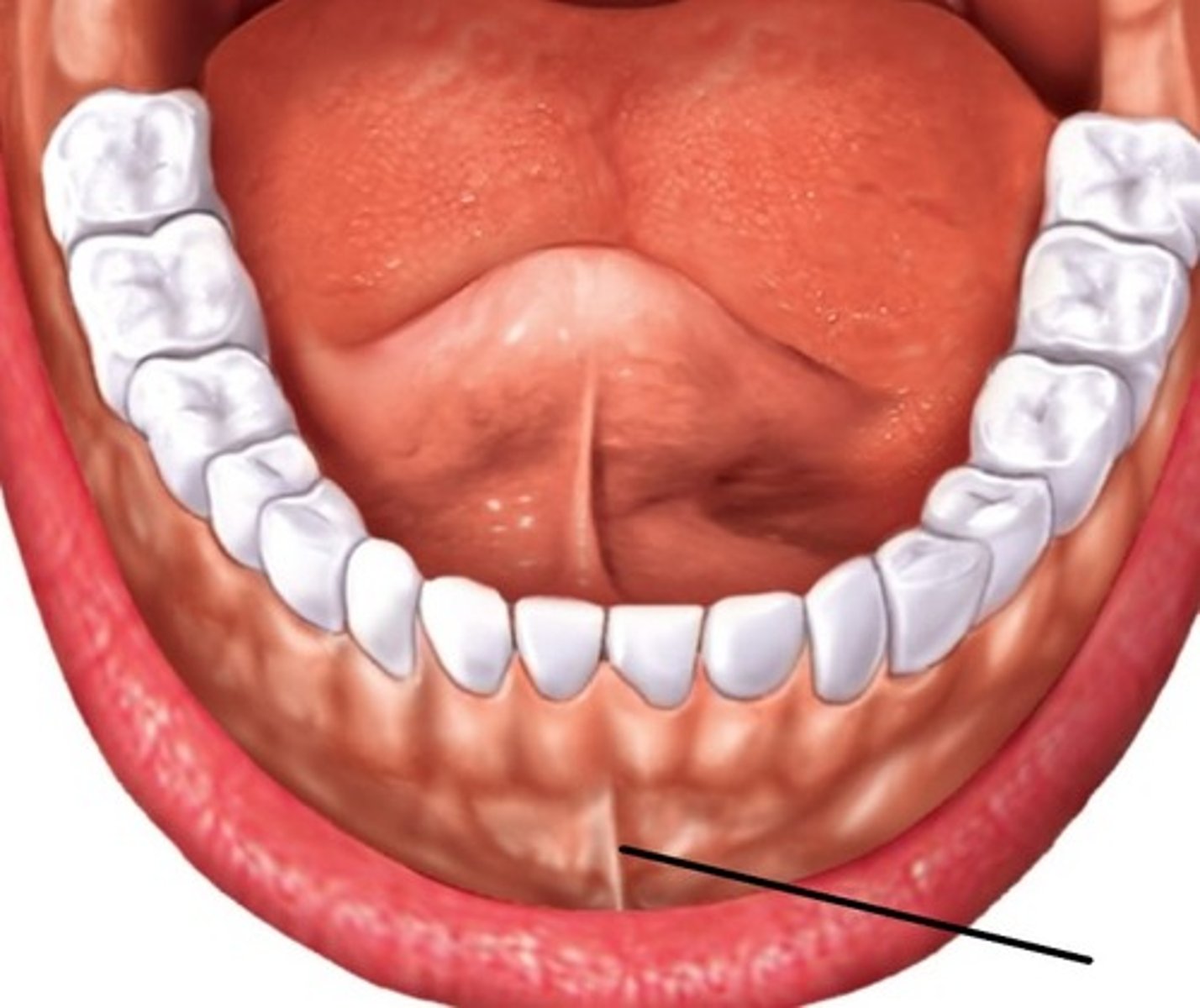 <p>ID the Structure</p>