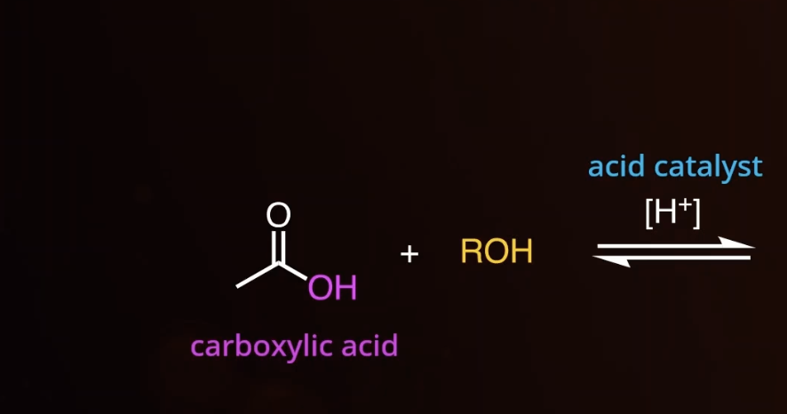 <p>fischer esterification </p>