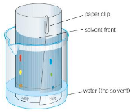 <p>Paper Chromatography:</p><ol><li><p>A capillary tube is used to tab a spot on a pencil line near the bottom of the sheet of absorbent chromatography paper (which is placed standing in a solvent at the bottom of a beaker or tank).</p></li><li><p>The solvent soaks up the paper, running through the spot of mixture.</p></li><li><p>The spot of mixture will travel up the paper as it soaks - how far it travels up the paper is dependent on the solubility of the mixture (the more soluble the substance, the further up the paper it’d go.</p></li></ol>