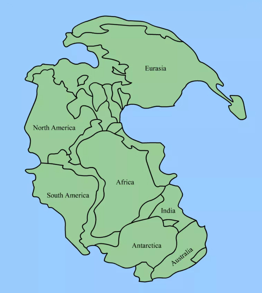 <p>Pangea</p>