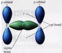 <p>they form when two atomic orbitals overlap head -n. This results in symmetry around the bond axis and electron density between the two bonding nuclei, where electrons spend most time</p><p>pi bonds = always p orbitals, form from the sideways overlap of parallel p orbitals and results in electron density above and below the bond axis for each pi bond. , double or triple bonds</p><p>sigma bonds = all covalent bonds are sigma bonds, they are the first bond seen, the additional bonds in double bonds are pi bonds</p><ul><li><p>the head on combination of atomic orbitals where the electron density is concentrated along the bond axis </p></li></ul><p></p>