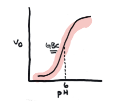 <p>Higher v<sub>0 </sub>at higher pH</p>
