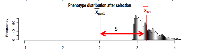 <p>the difference caused by selection in mean phenotype</p><p>within a generation</p>