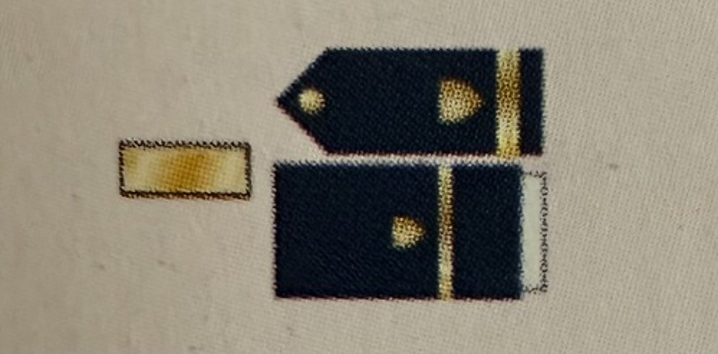 <ul><li><p><strong>Collar Device:</strong> Zero One Gold Bar</p></li><li><p><strong>Sleeve Insignia:</strong> Zero One Half-Inch Gold Band</p></li></ul><p></p>