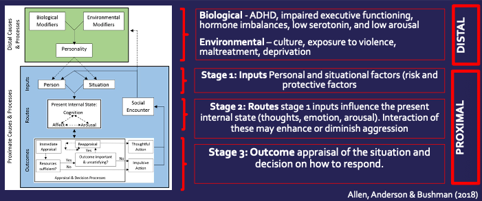 Model that considers the social, cognitive, personality, developmental and biological factors 