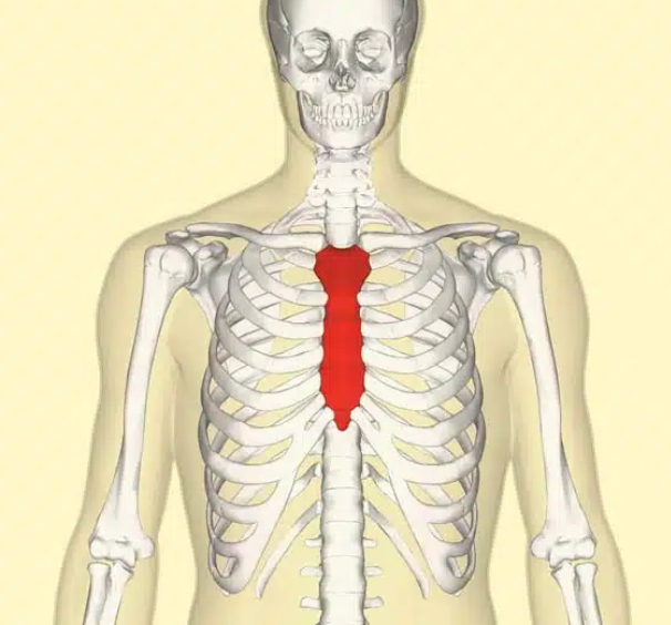 <p>The sternum (pointing directly to the middle of the chest) </p>