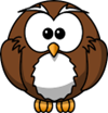 <p>an owl</p>