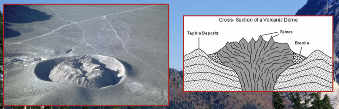 These volcanoes contain highly viscous rhyolite magma.

\
They are steep sided mounts that form around vents