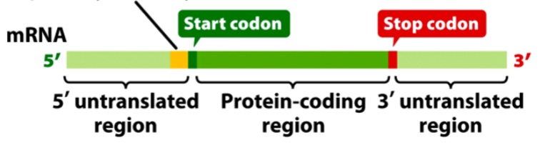 <p>What is this&nbsp;</p>