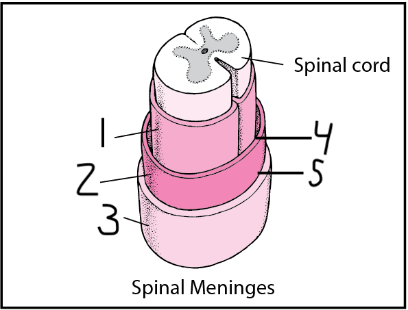 <p>2</p>